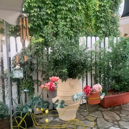 Exarhos Hotell Paralía